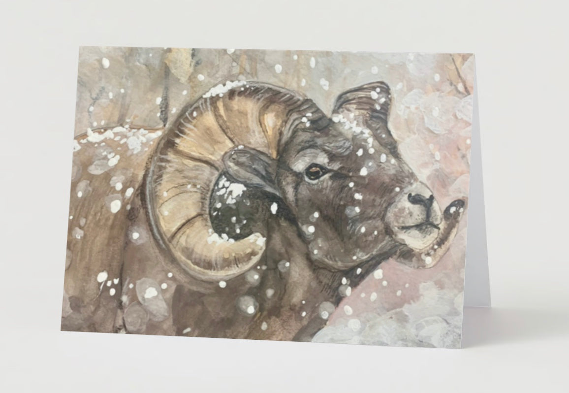 "Bighorn Ram" Greeting Card
