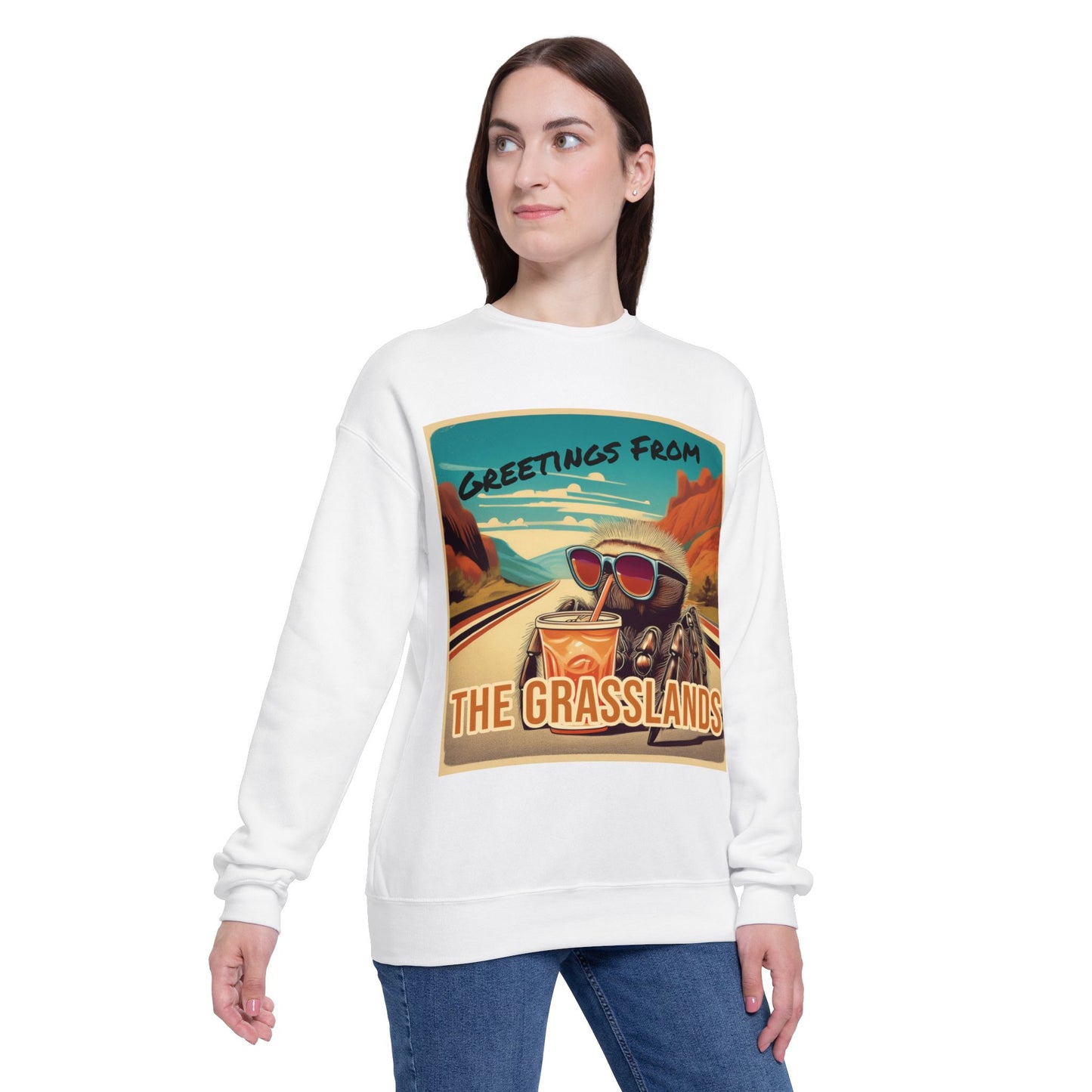 Greetings from the Grasslands Drop Shoulder Sweatshirt