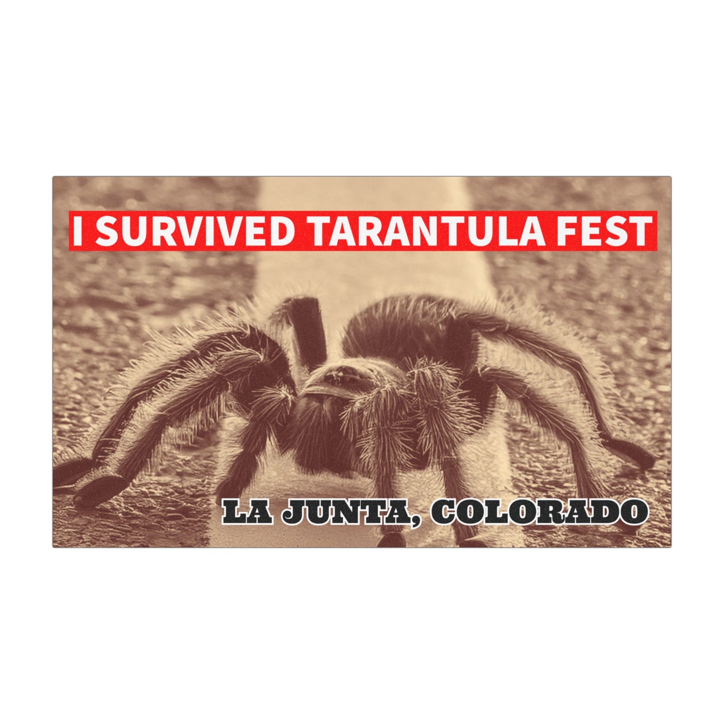 I Survived Tarantula Fest Car Magnets