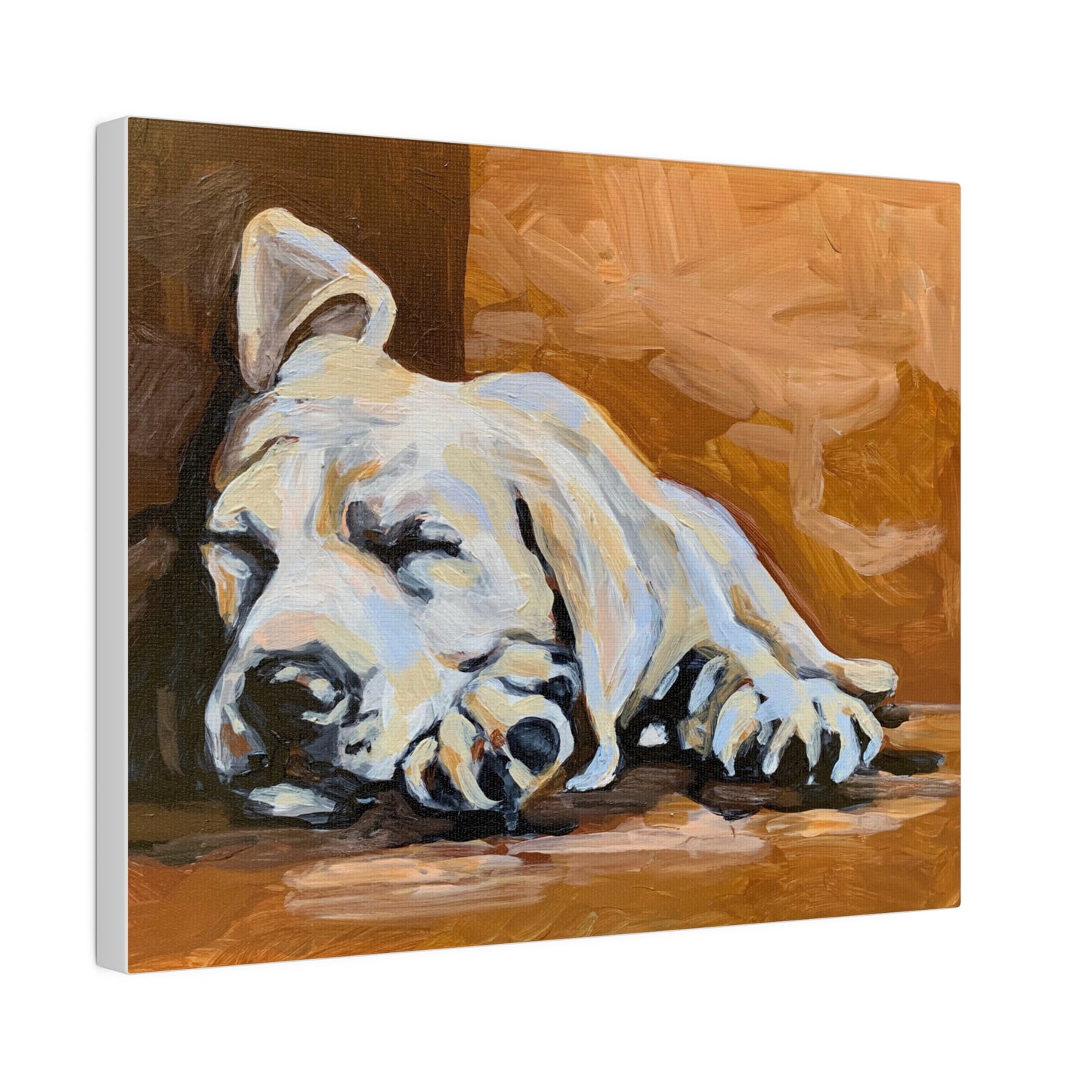 Sleepy Lab Matte Canvas, Stretched, 0.75"