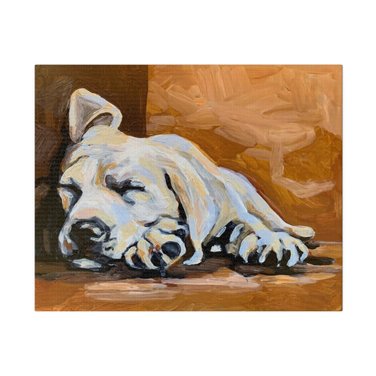 Sleepy Lab Matte Canvas, Stretched, 0.75"