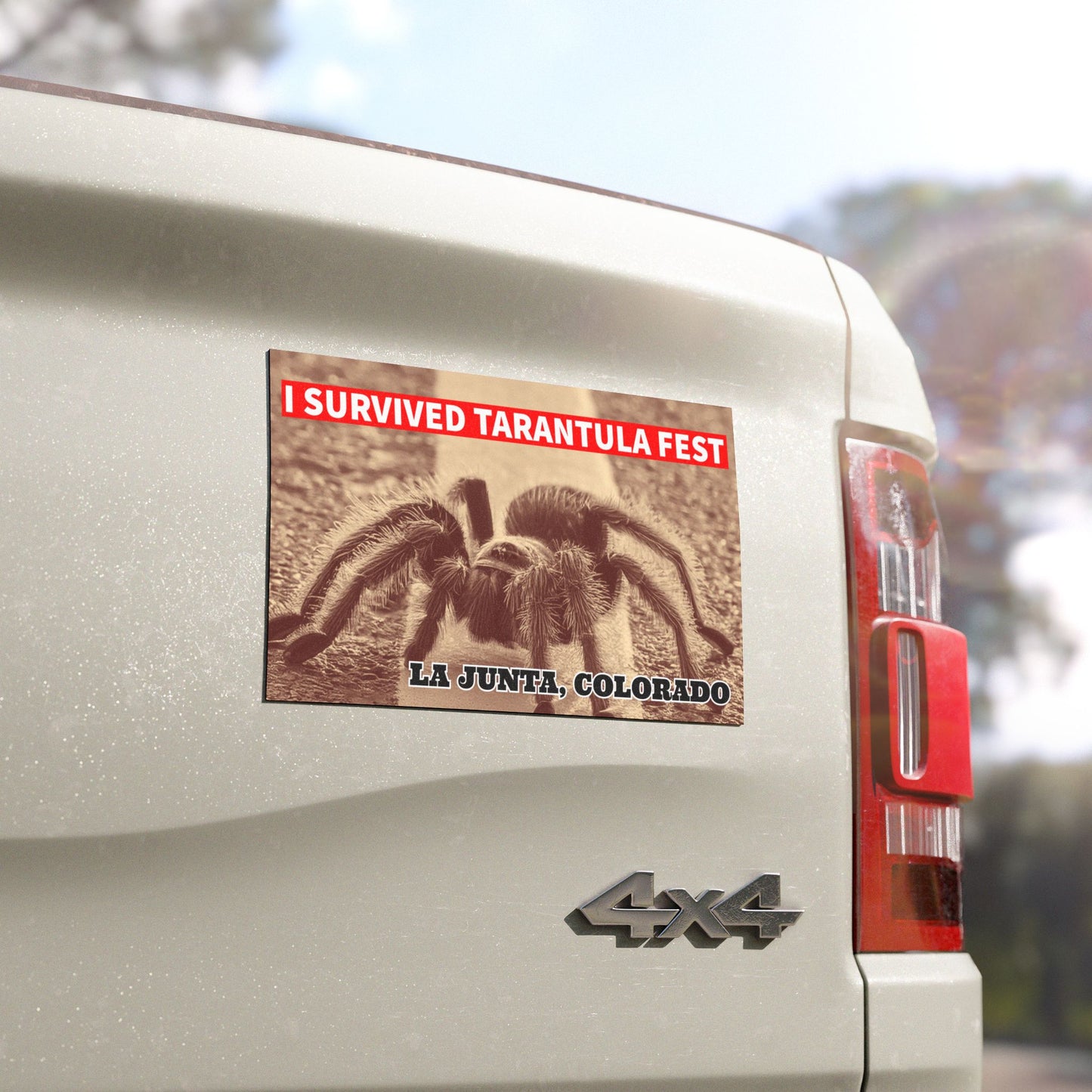 I Survived Tarantula Fest Car Magnets