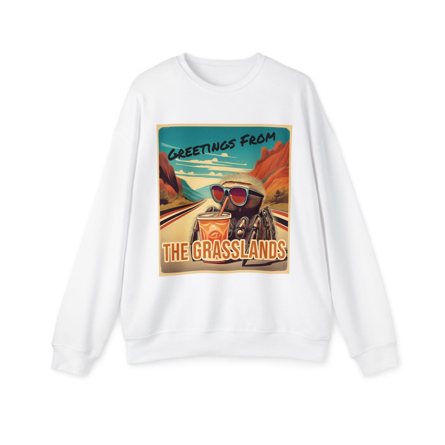 Greetings from the Grasslands Drop Shoulder Sweatshirt