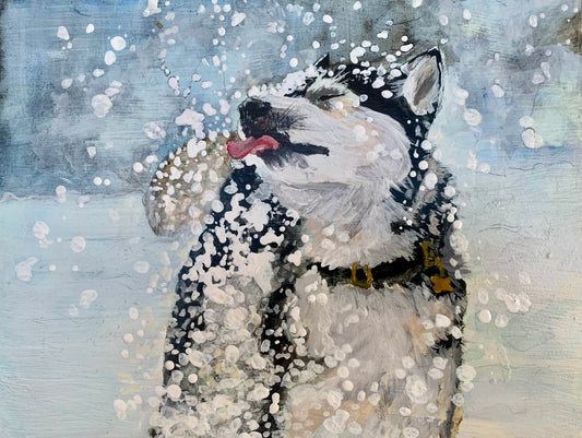 "Catching Snow" Husky Greeting Card