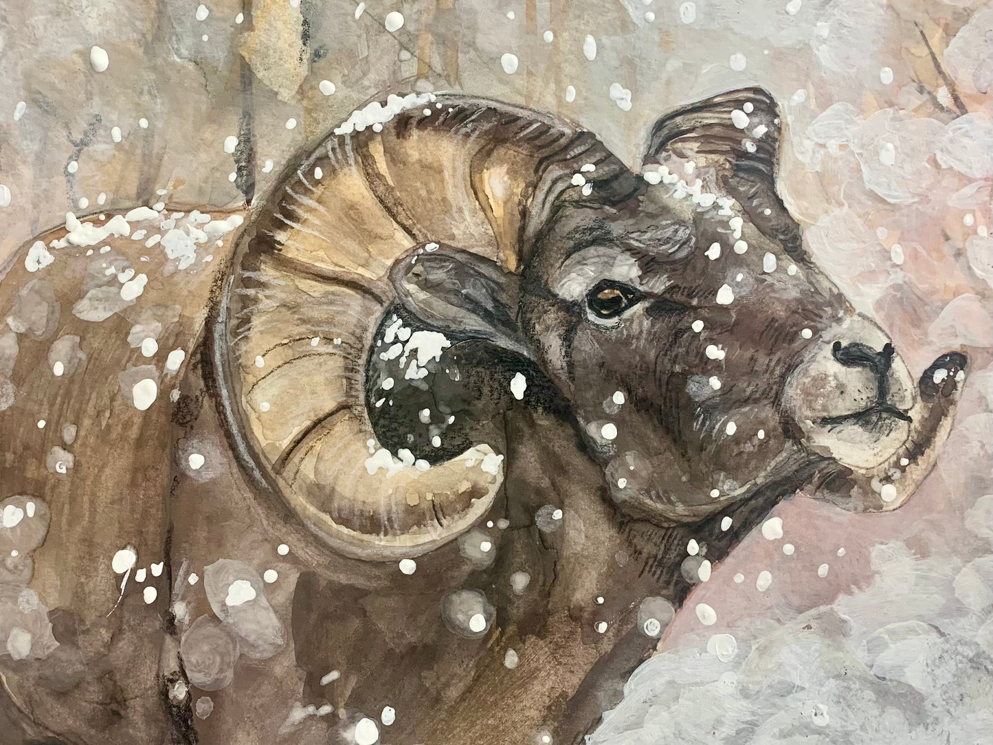 "Bighorn Ram" Greeting Card